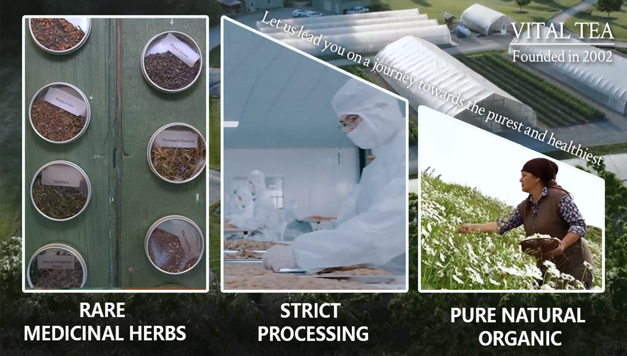 Vital Tea brand film preview